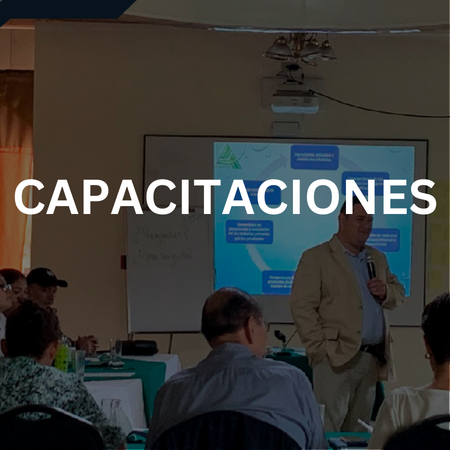 Capacitaciones